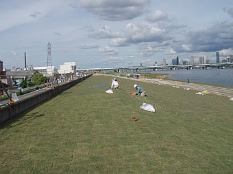 張芝施工状況