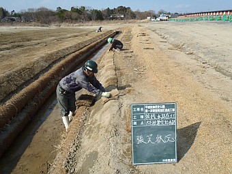 幹線水路張芝状況